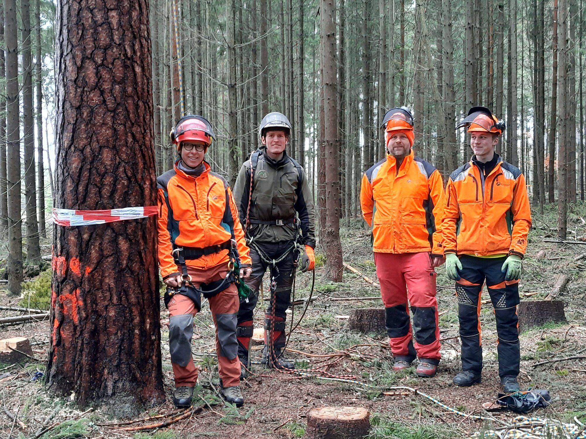 Fischadlerhorst Breiter Teich Selb Fichtelgebirge
