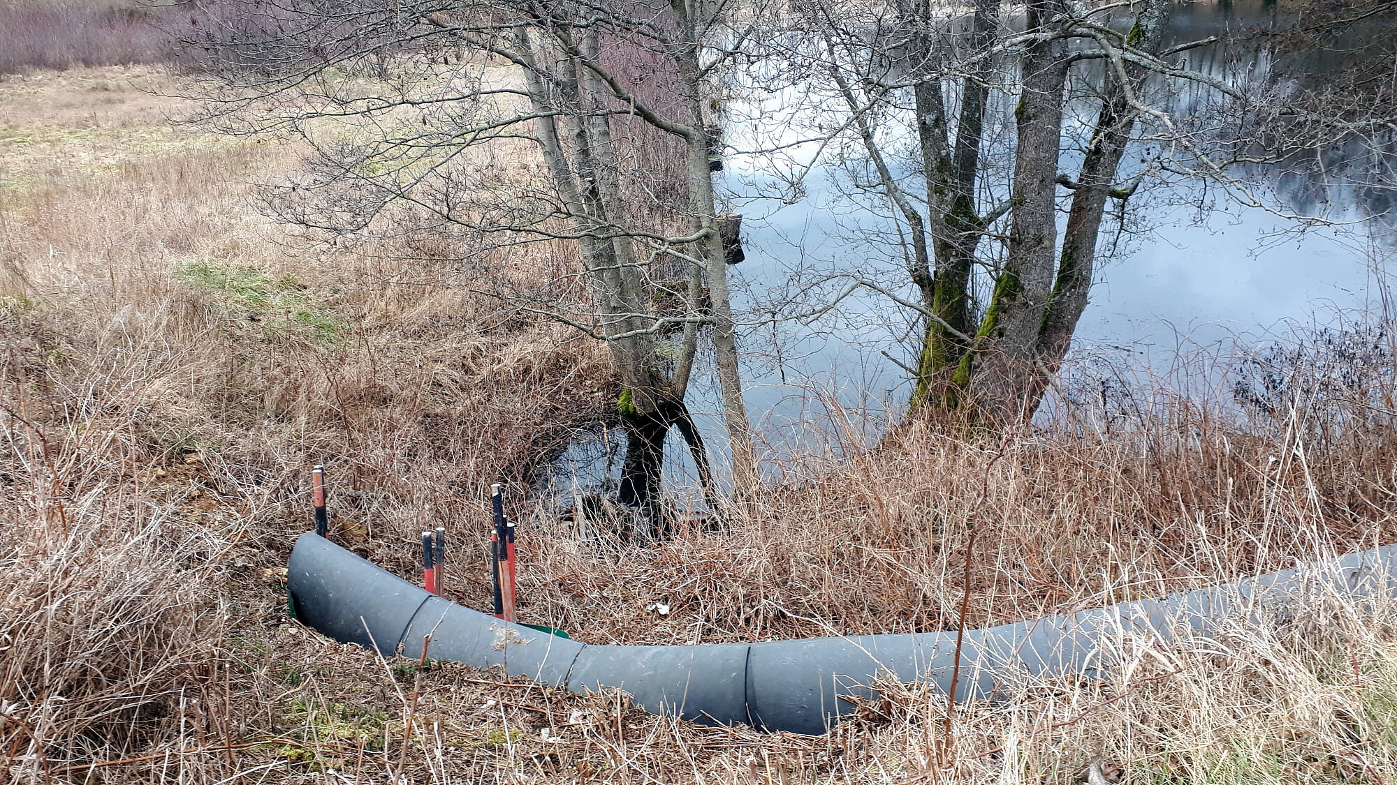 Amphibienleitsysteme im Stadtgebiet Selb