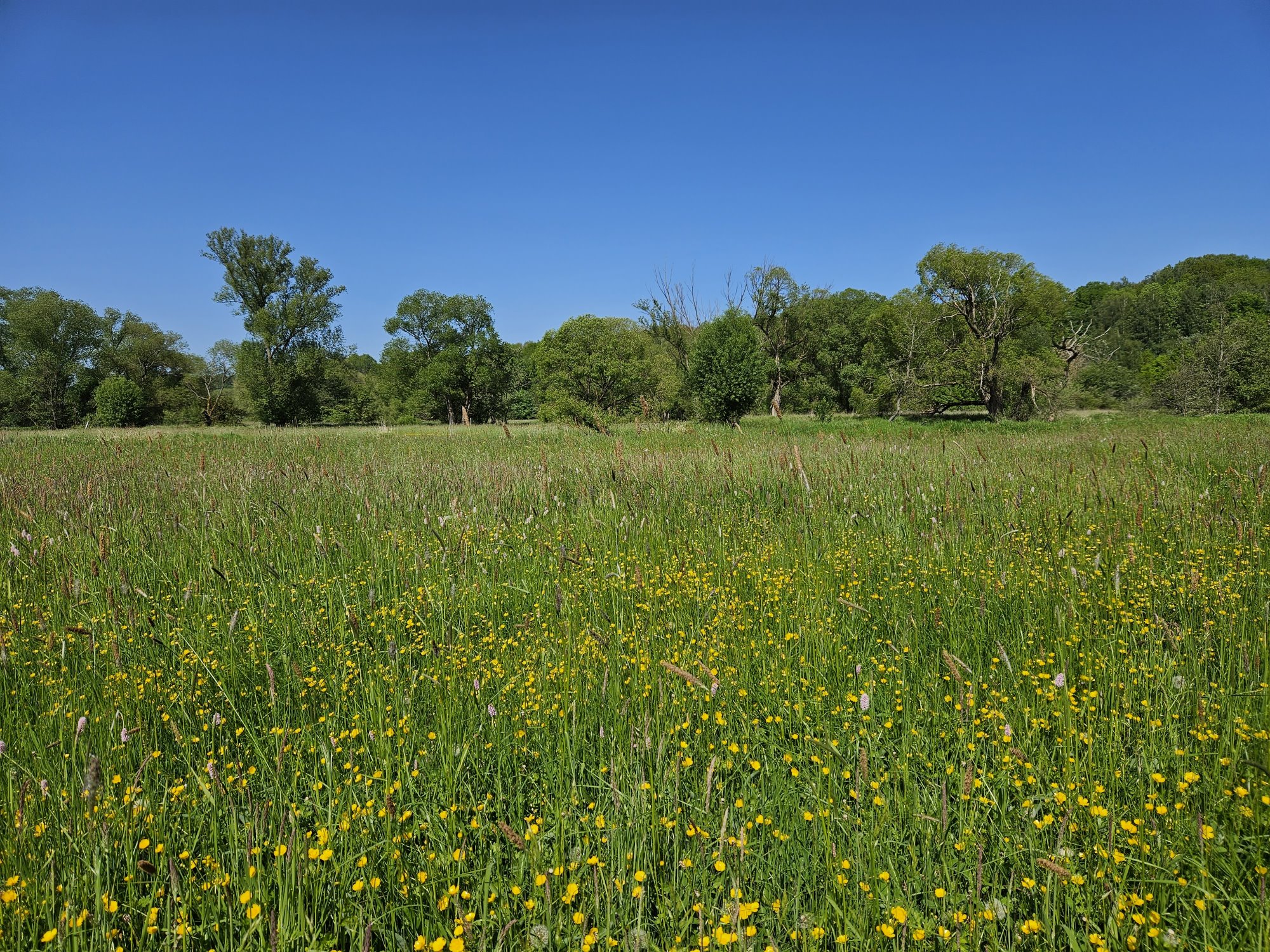 Grünes Bayern Bayern Fischern Eger/Röslau Fichtelgebirge