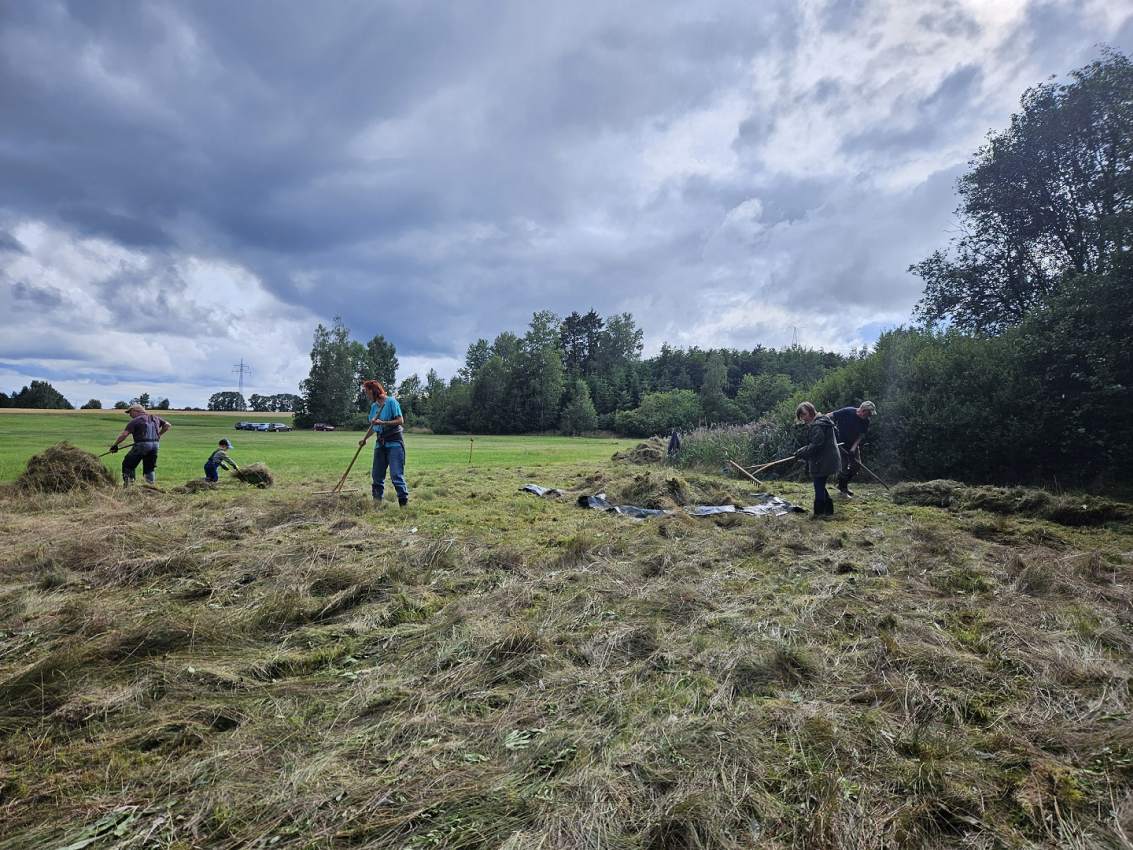 Wiesenpflegen Wiesenpflegen Landkreis Wunsiedel i.F.