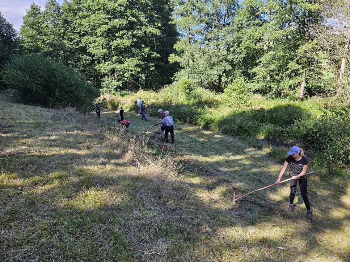 Wiesenpflegen Landkreis Wunsiedel i.F. Wiesenpflegen Landkreis Wunsiedel i.F.