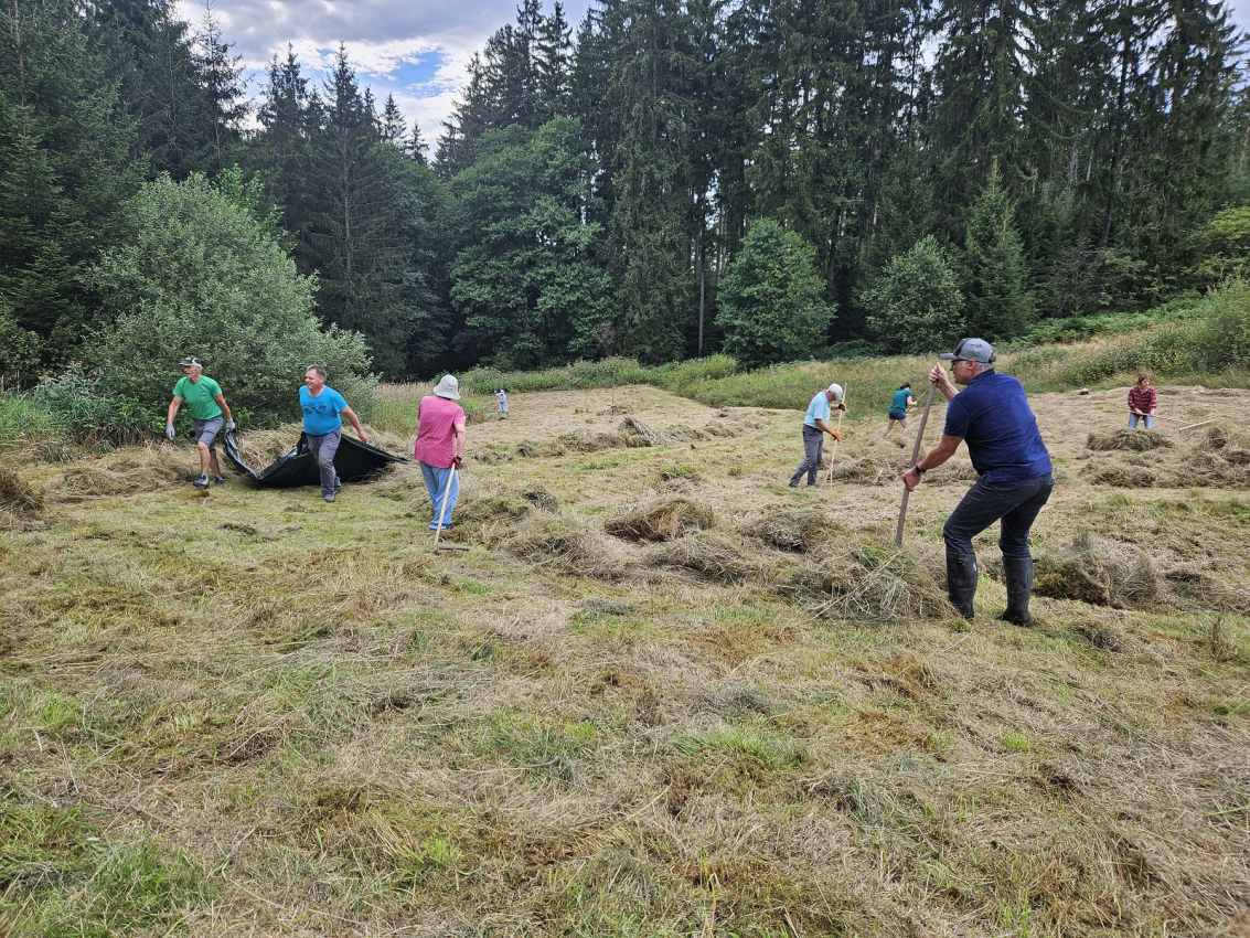 Wiesenpflegen Landkreis Wunsiedel i.F. Wiesenpflegen Landkreis Wunsiedel i.F.