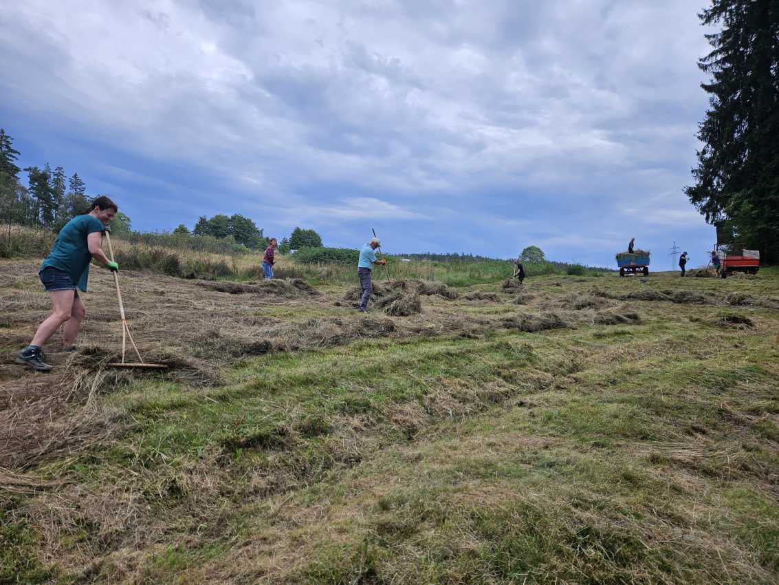 Wiesenpflegen Landkreis Wunsiedel i.F. Wiesenpflegen Landkreis Wunsiedel i.F.