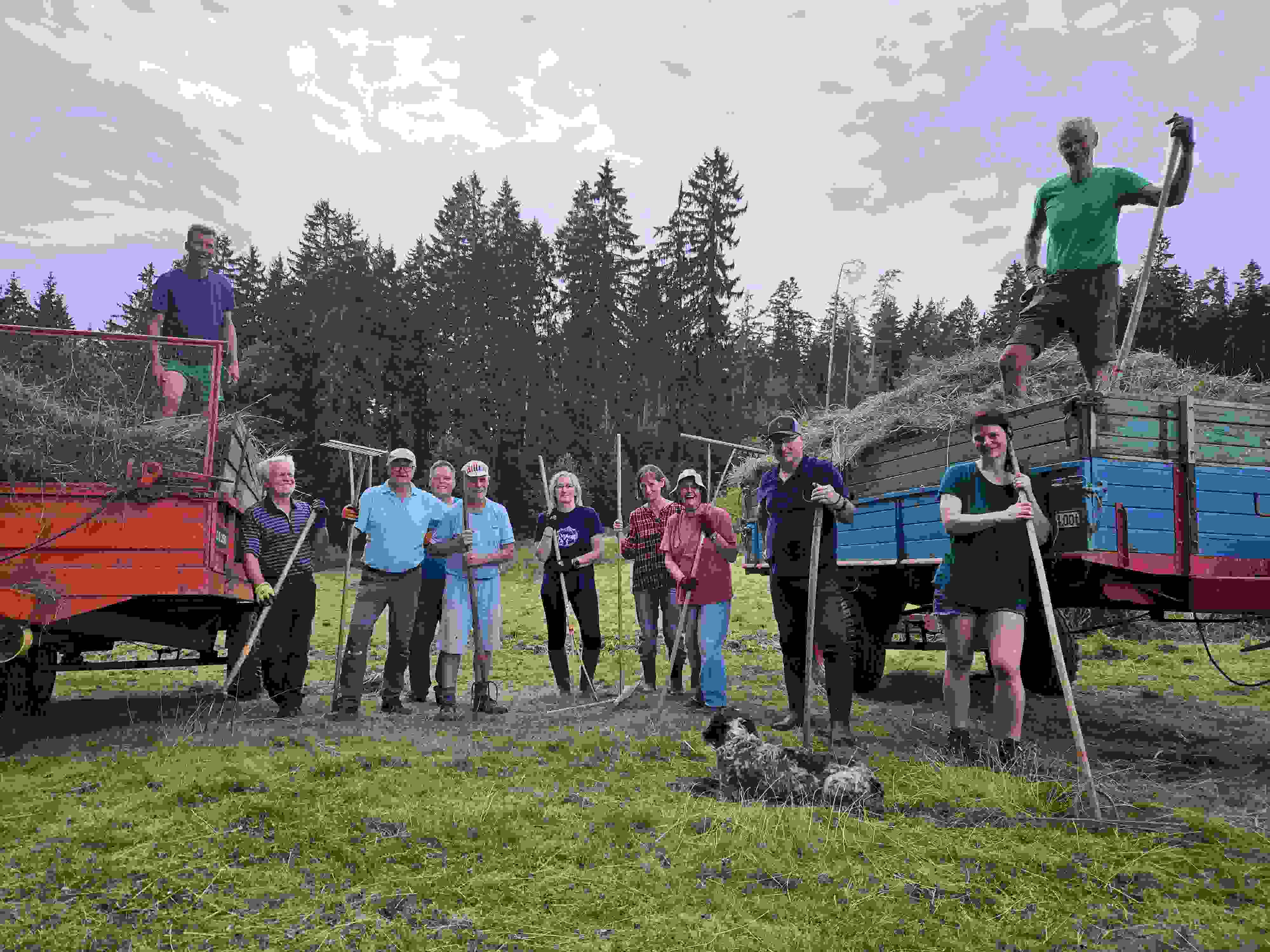 Wiesenpflegen Landkreis Wunsiedel i.F. Wiesenpflegen Landkreis Wunsiedel i.F.