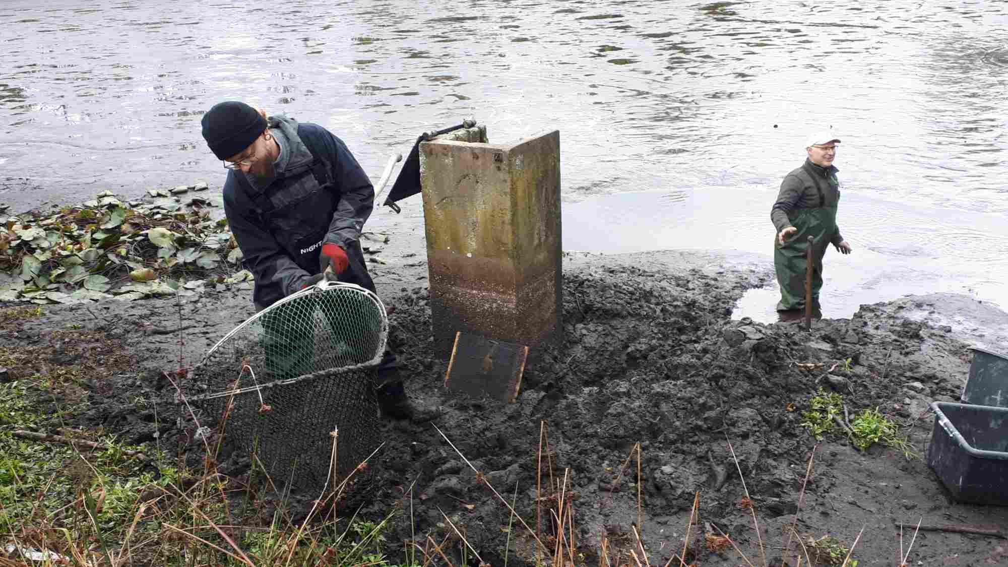 Amphibienteich "Gutsteich" bei Selb