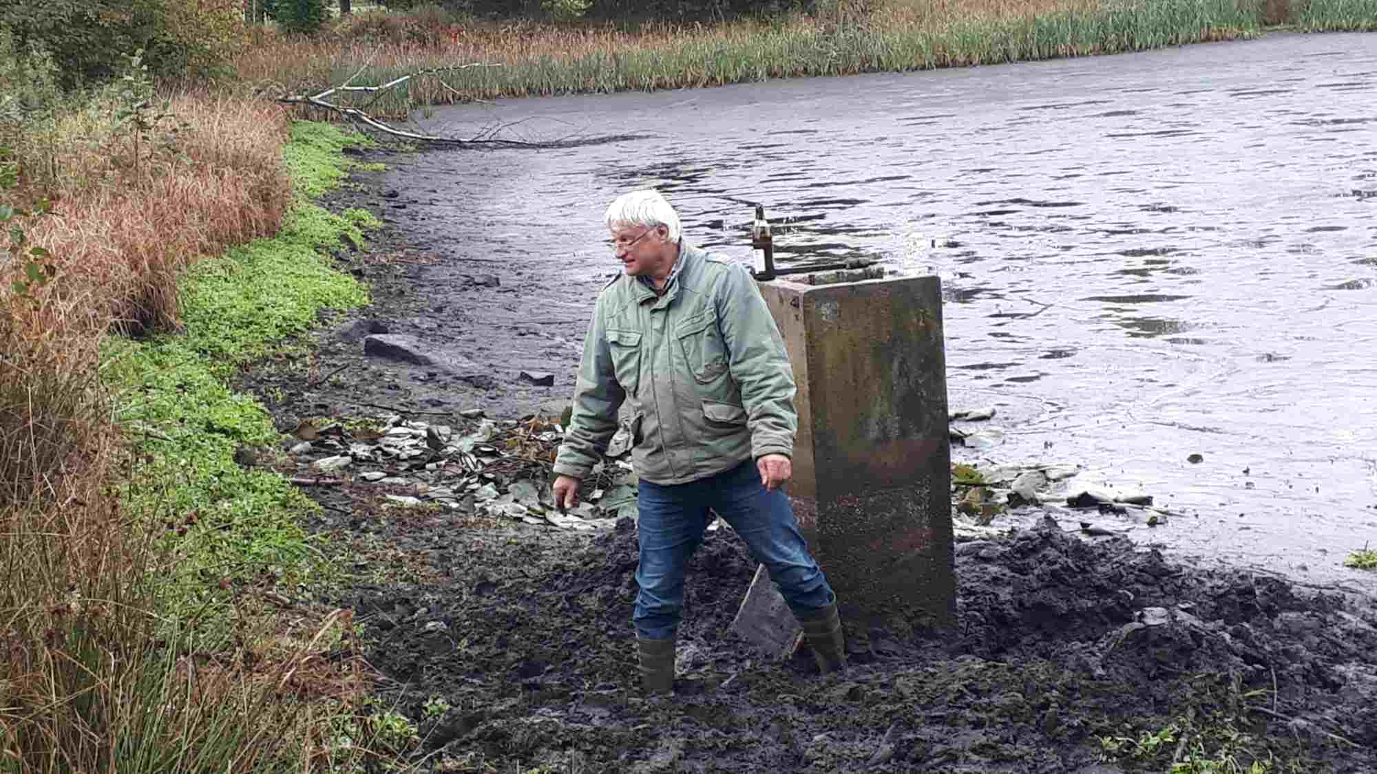 Amphibienteich "Gutsteich" bei Selb