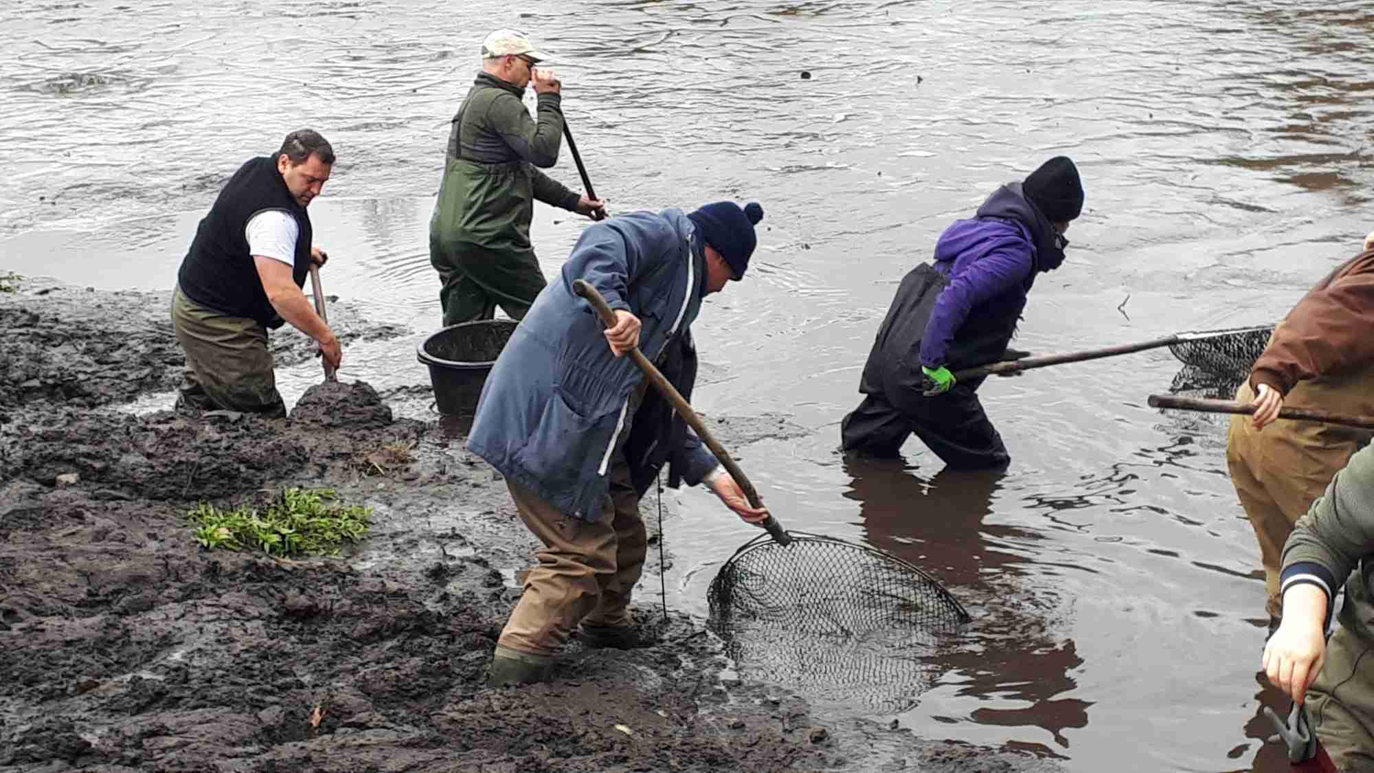 Amphibienteich "Gutsteich" bei Selb