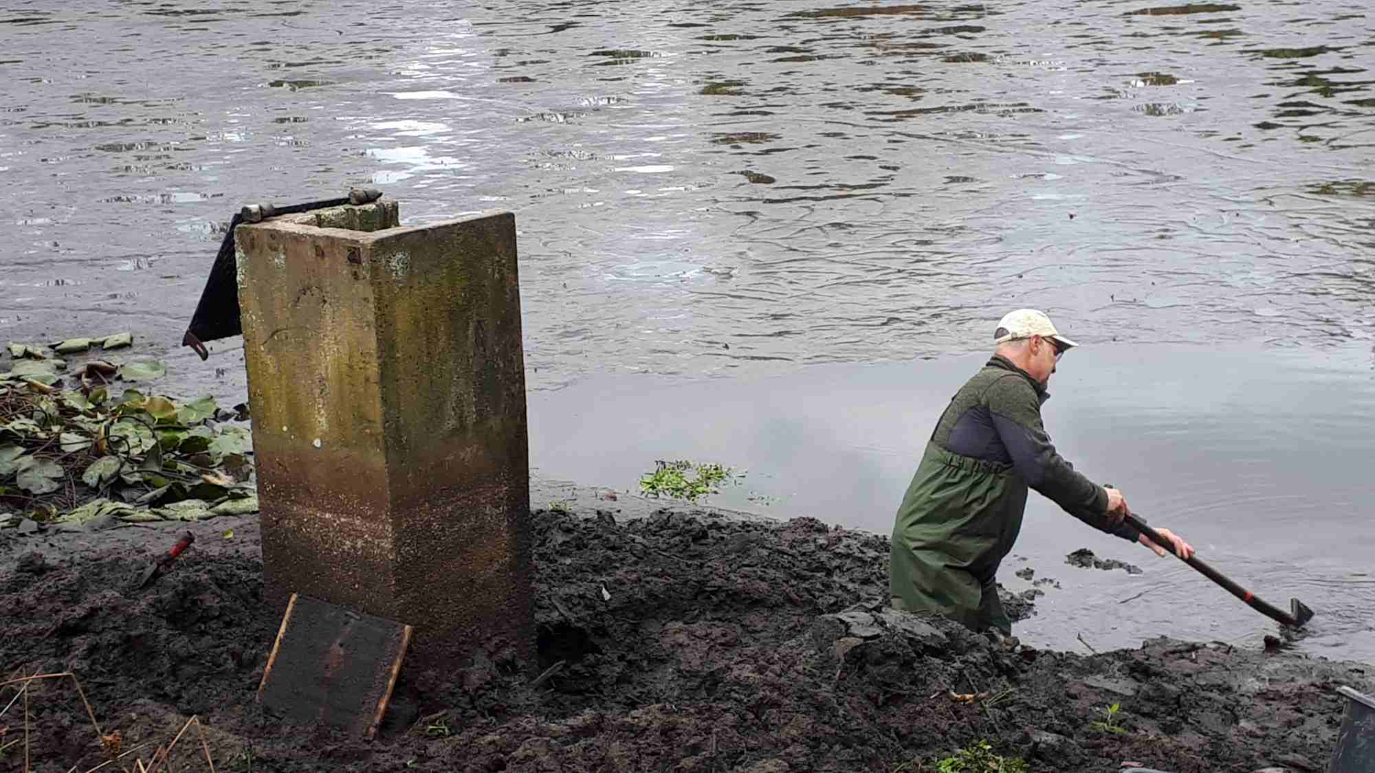 Amphibienteich "Gutsteich" bei Selb